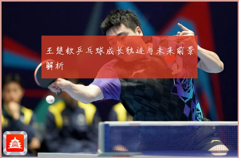王楚钦乒乓球成长轨迹与未来前景解析