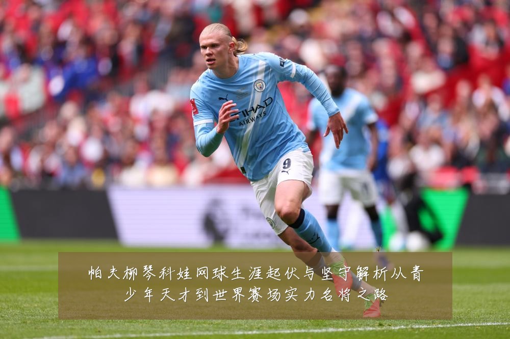 帕夫柳琴科娃网球生涯起伏与坚守解析从青少年天才到世界赛场实力名将之路
